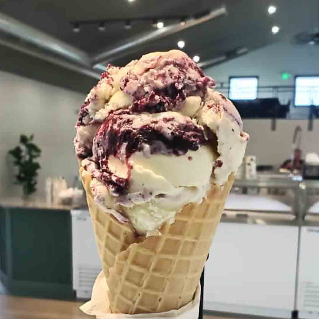 Lemon Blueberry Ice Cream by Cook's Farm Dairy Ortonville, Michigan