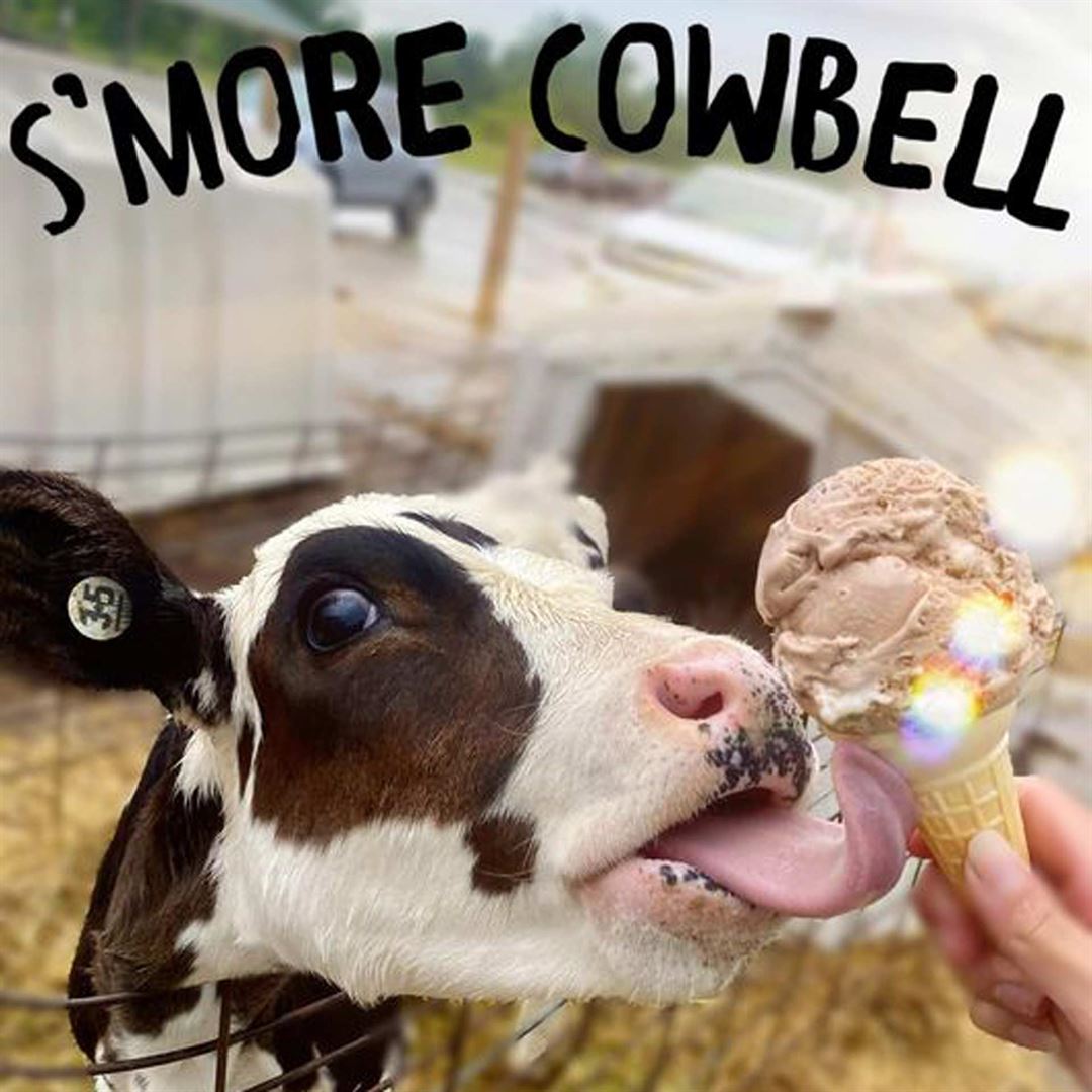 Cook’s Farm Dairy | Family-Owned Michigan Dairy Farm Serving The Finest ...